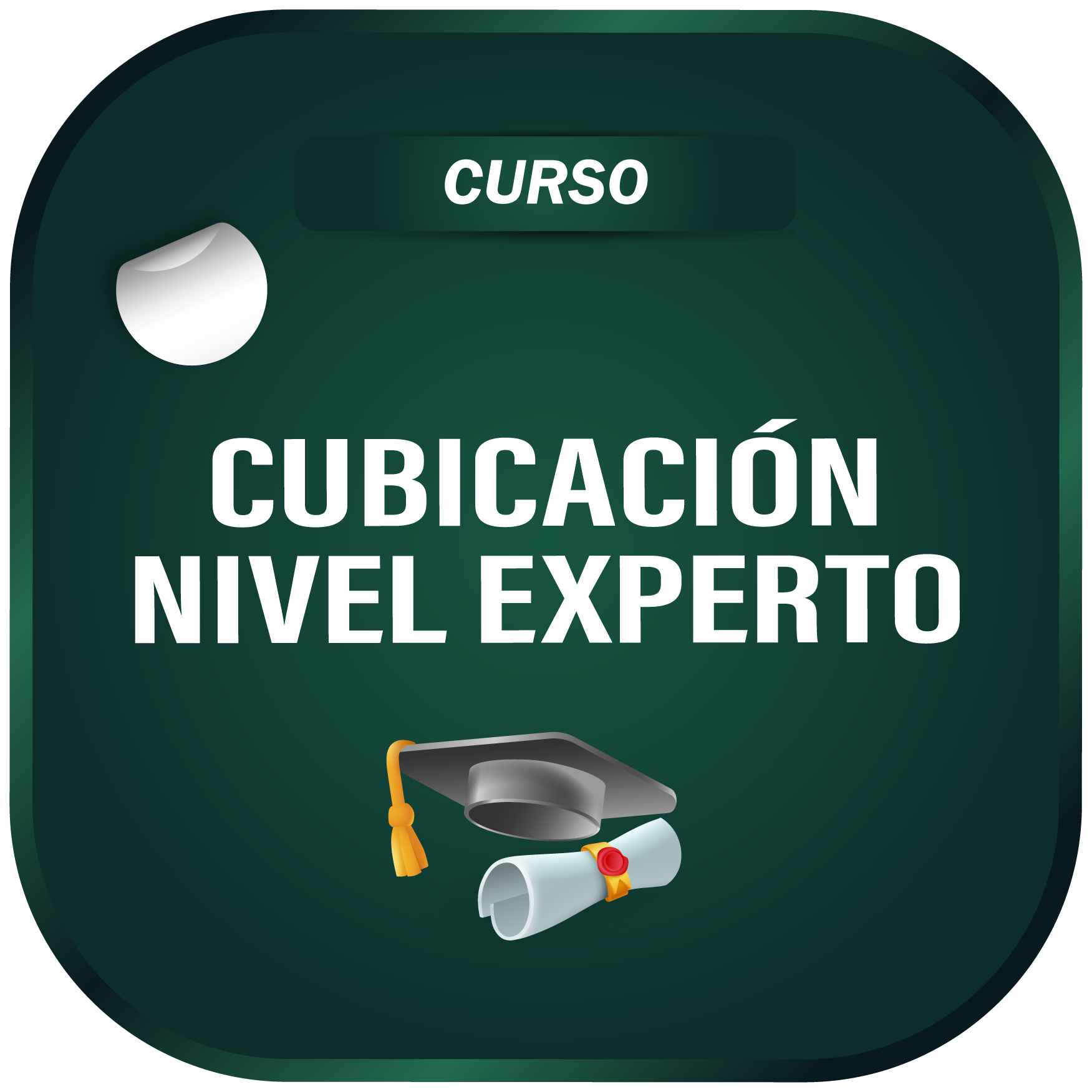 Curso Cubicación Nivel Experto – Venta en Blanco