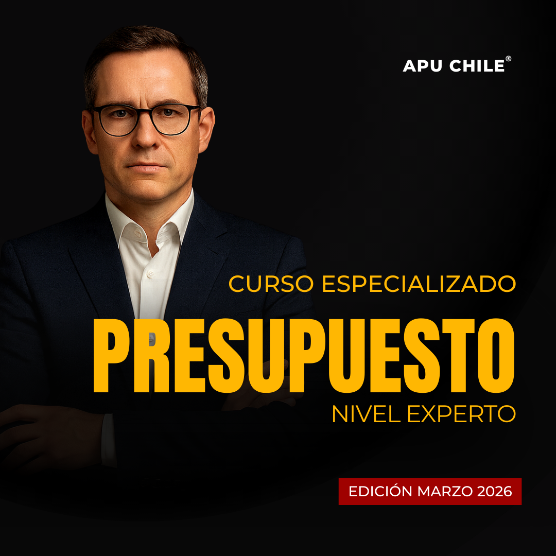 PRESUPUESTO NIVEL EXPERTO