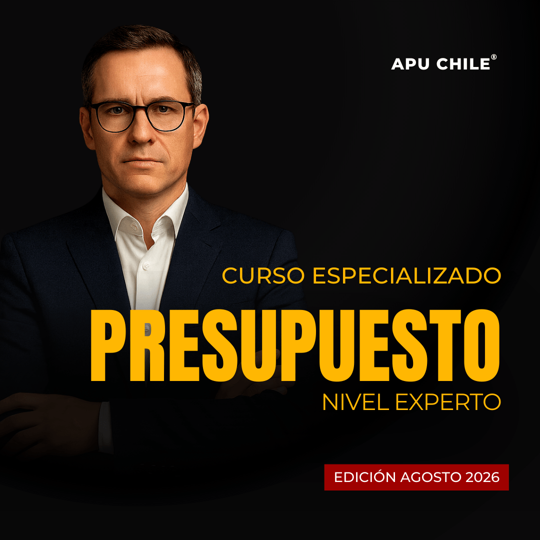 PRESUPUESTO NIVEL EXPERTO